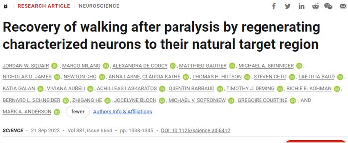 Science | 逆转瘫痪！再生神经元恢复完全性脊髓损伤后瘫痪小鼠的行走能力