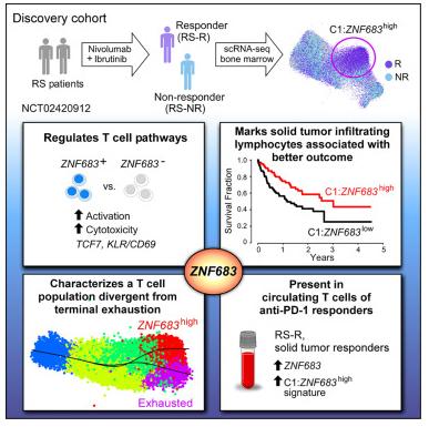 Cancer Cell | 科学家开发出有望揭示机体免疫学特性的“脂质组蓝图”