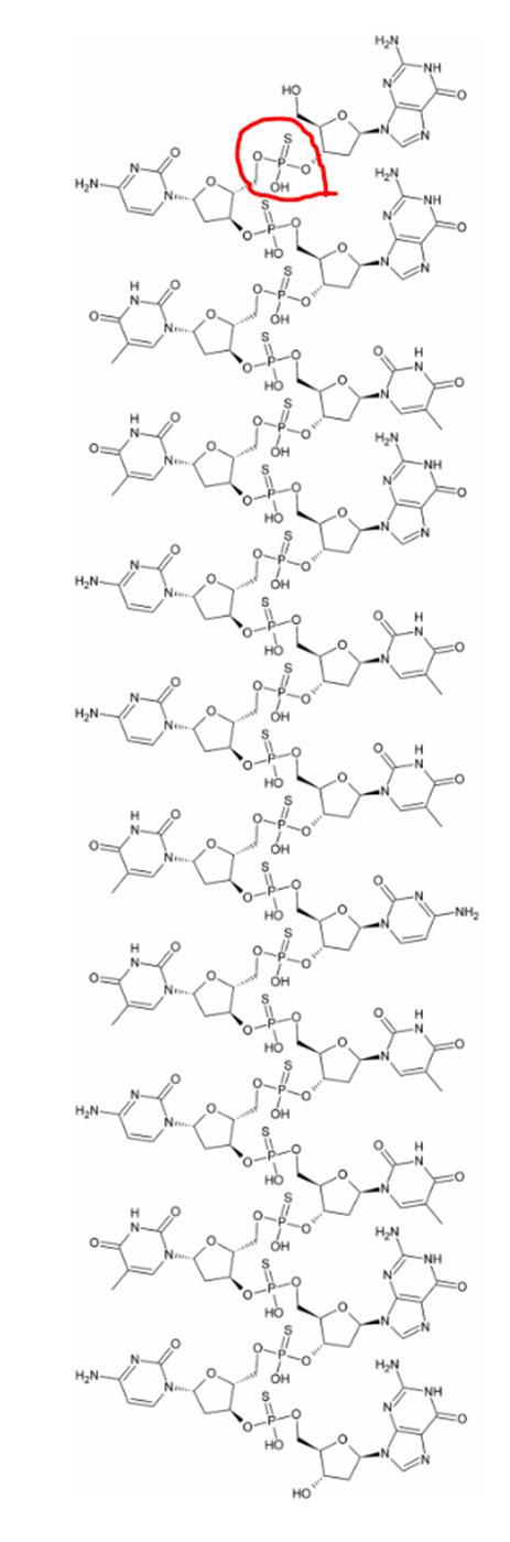 寡核苷酸药物的研发现状与展望