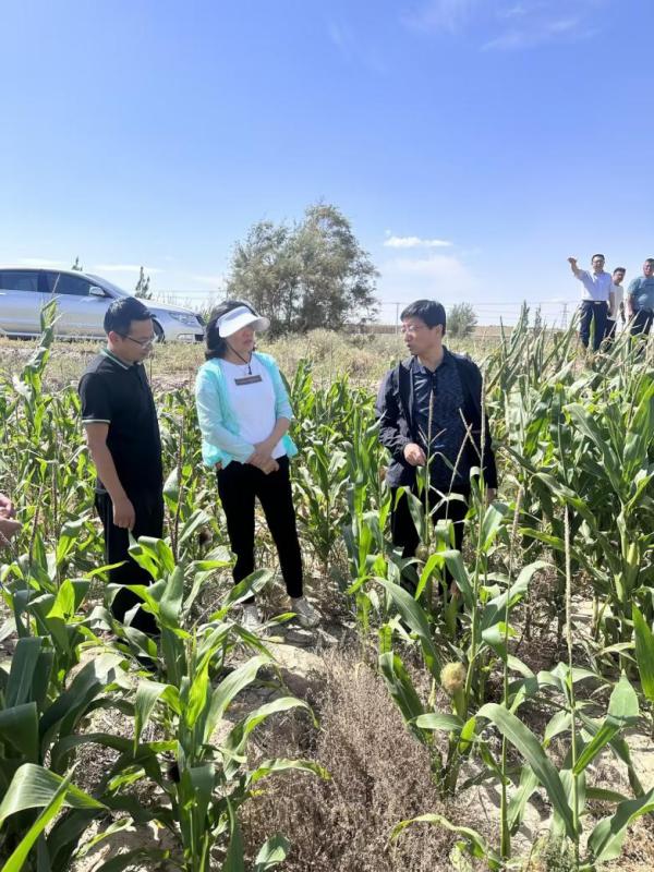 用情为民解难题 旱灾赔付暖人心 中国人寿财险甘肃省分公司用心为民办实事