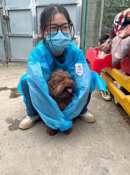 CRC中国狂犬病防治：持续践行，为了同一健康而努力！