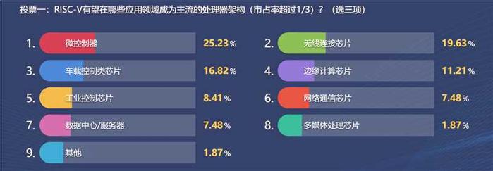 (关于“RISC-V有望在哪些领域‘三分天下’”话题的投票结果。图源:滴水湖论坛官方)