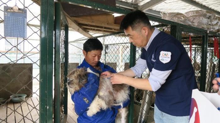 CRC中国狂犬病防治：持续践行，为了同一健康而努力！