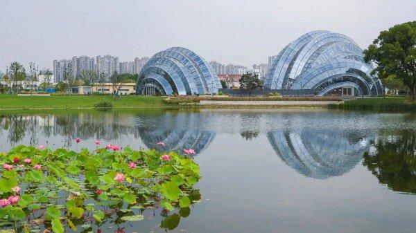 上海植物园北区试开放 “上海大花园”芳华初现