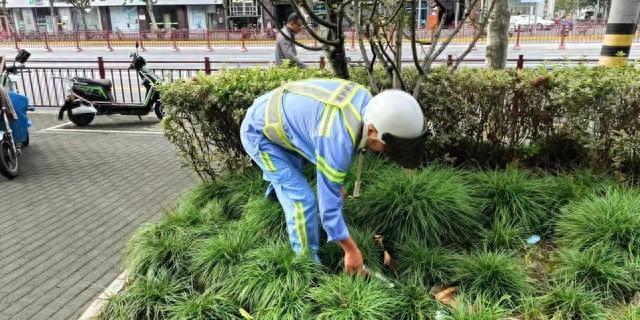 国庆中秋双节同庆 本市环卫部门全力保障市容环境卫生整洁