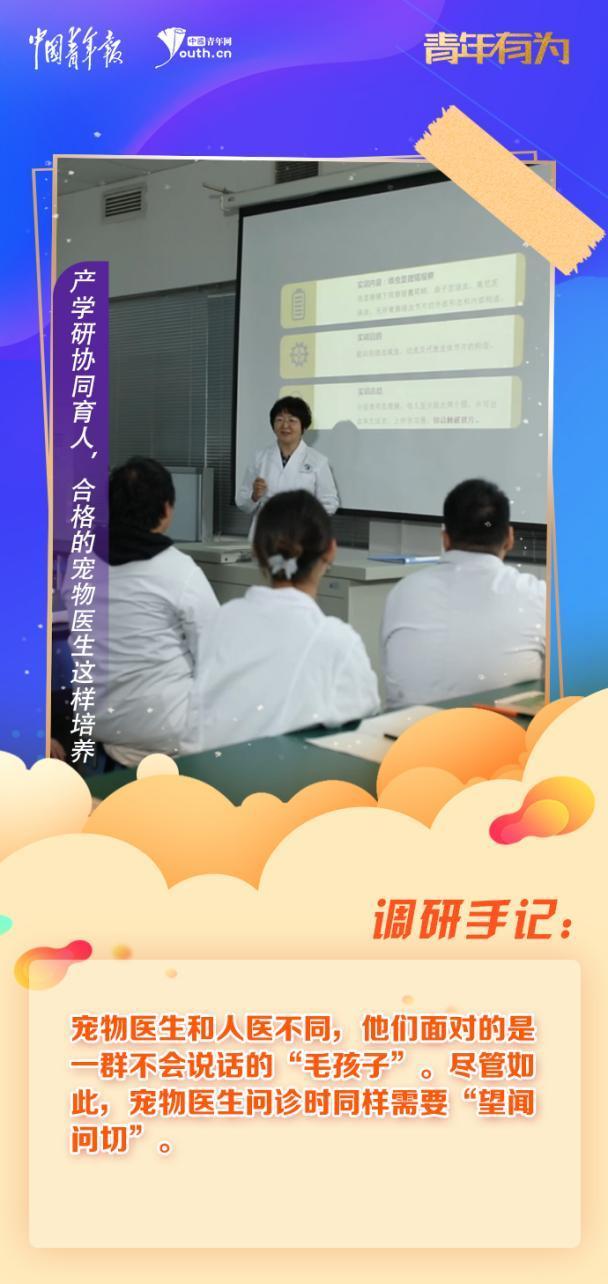 青年有为｜北京农业职业学院：产学研协同育人，合格的宠物医生这样培养