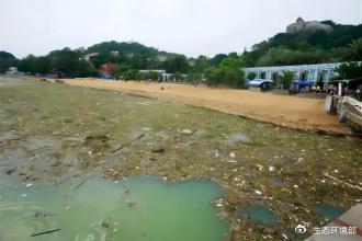 走近美丽海湾 | 福建厦门东南部海域