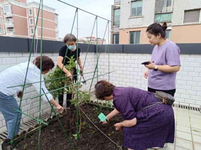 秋播秋种，居民在自治项目中参与美丽家园建设