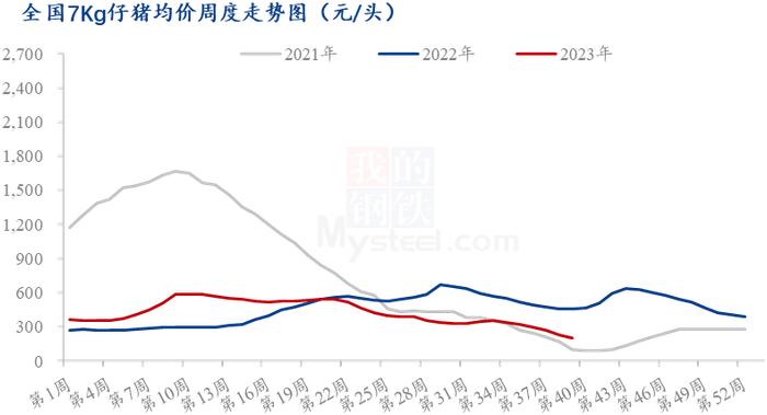 Mysteel解读：补栏情绪不佳，仔猪价格断崖式下跌