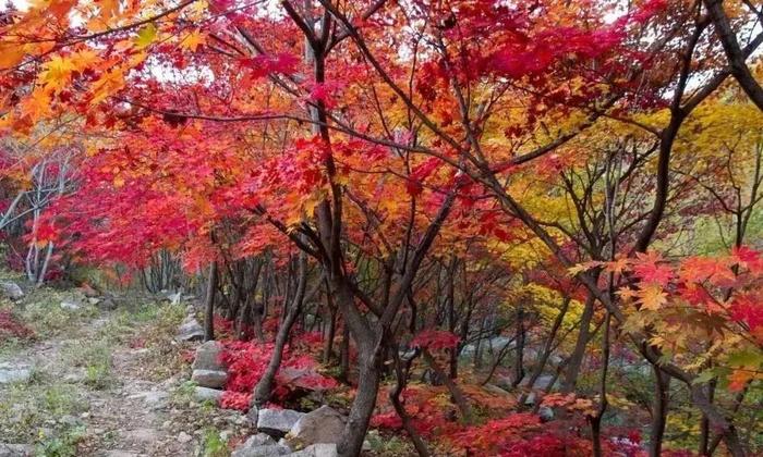 鞍山岫岩：山海有情 天辽地宁 国庆畅游玉都岫岩 吃喝玩乐购全攻略