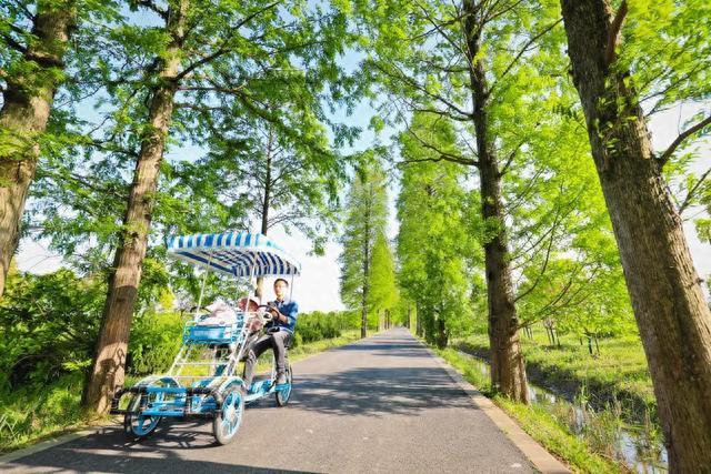 国庆不扎堆，松南郊野公园邀您欣赏夏末秋初好风景