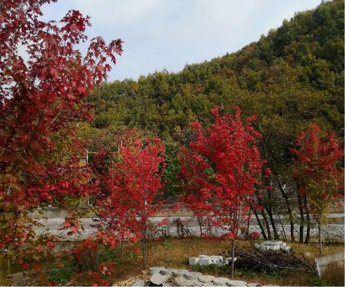 鞍山岫岩：山海有情 天辽地宁 国庆畅游玉都岫岩 吃喝玩乐购全攻略