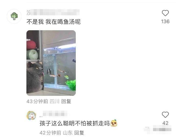 “滂感谢”和“小桥流水nia”是啥意思？北方人：方言不能这么用……