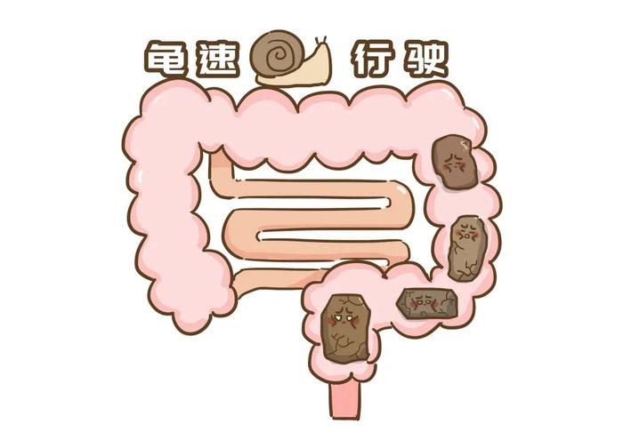 *图片来源于网络