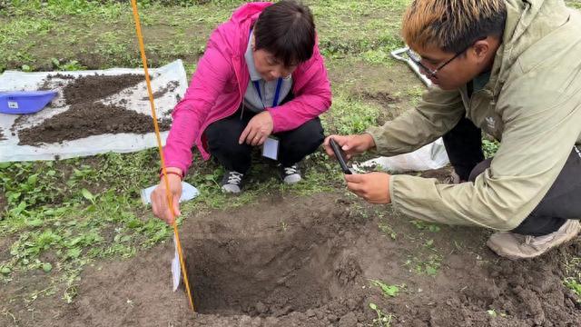 压实责任、细化措施！宝山区第三次土壤普查进入外业实施阶段