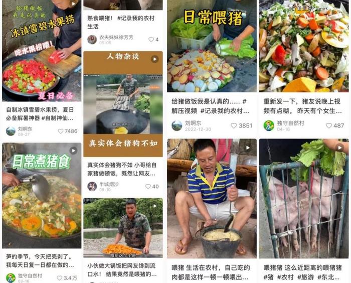 沉迷「互联网喂猪」的年轻人，真的吃猪肉吗？