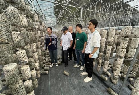 甘肃农业职业技术学院驻村帮扶工作队实地考察产业项目
