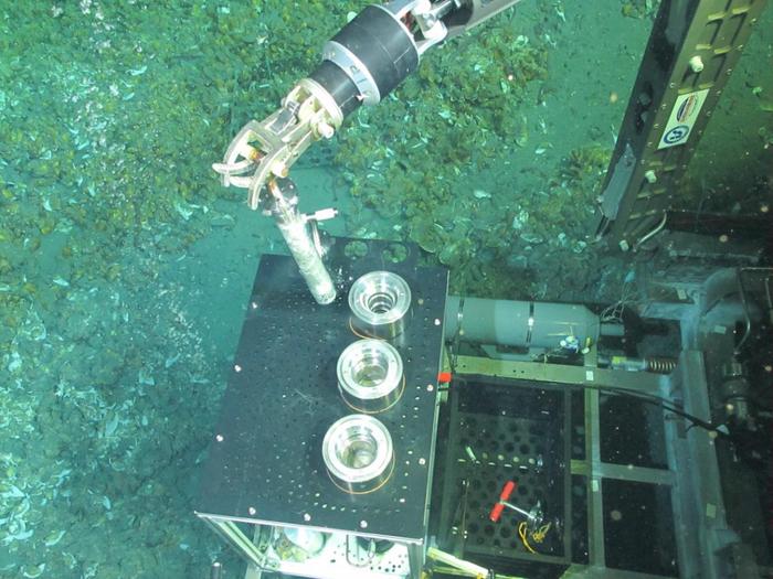 全球首次！深圳大学谢和平院士团队获得深海原位固体可燃冰样品