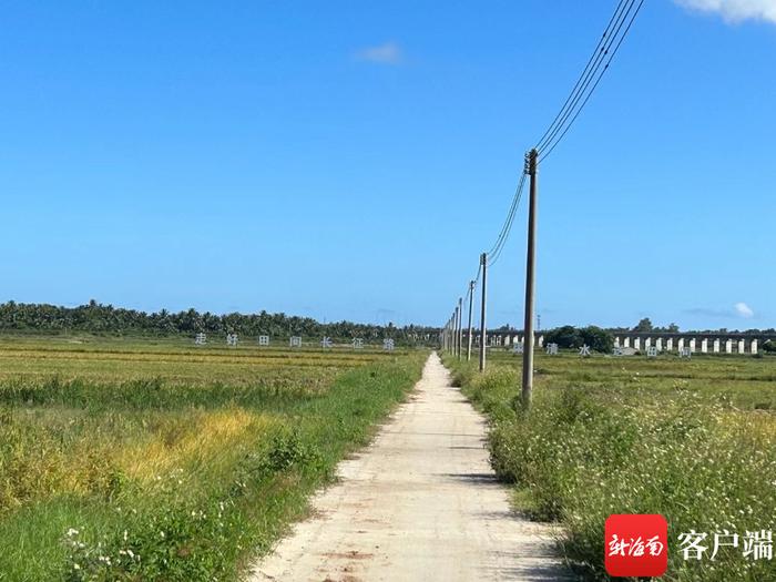 海南省水利电力集团有限公司牛路岭灌区工程现场代表陈思李：责任至上，见证水电星力量