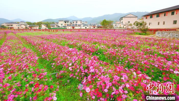 （乡村行·看振兴）“盘”活闲置农房 江西龙南打造乡村振兴“共富屋”