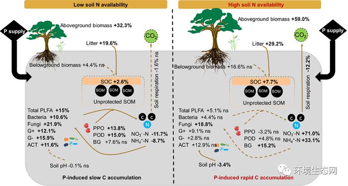 SBB Meta分析 | 磷添加对土壤有机碳库的影响取决于氮有效性