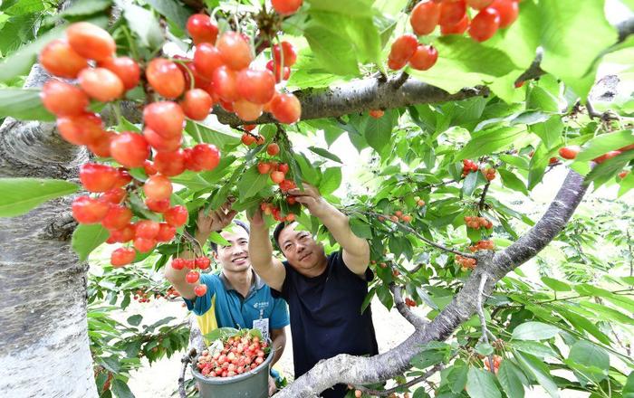 西集镇沙古堆村入选北京“小众景点”