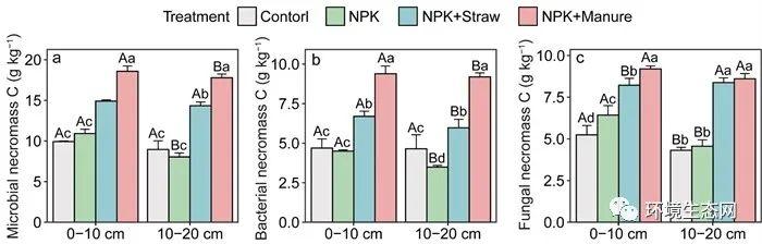 中科院亚农所吴金水团队在长期施肥下稻田土壤微生物残体碳积累特征及机制取得进展