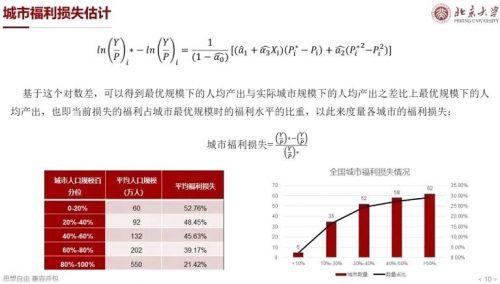 中国城市人口规模分布和福利分析