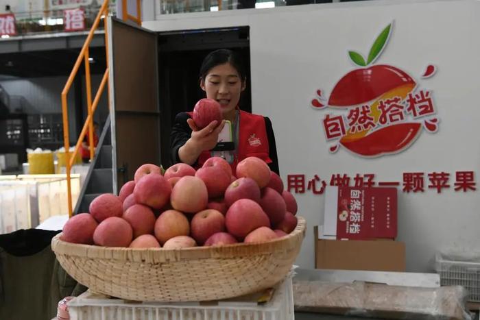 县域特色产业怎么干？这篇国家高端智库的调研报告信息量很大