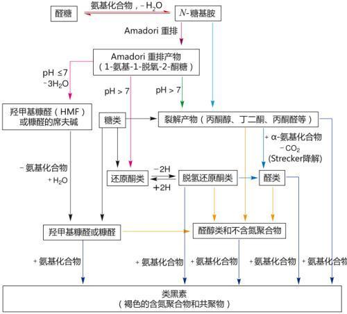 药物与辅料直接相互作用引起的降解——美拉德（Maillard）反应