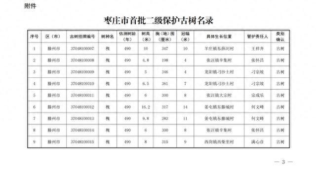 186棵！枣庄市公布首批二级保护古树名录