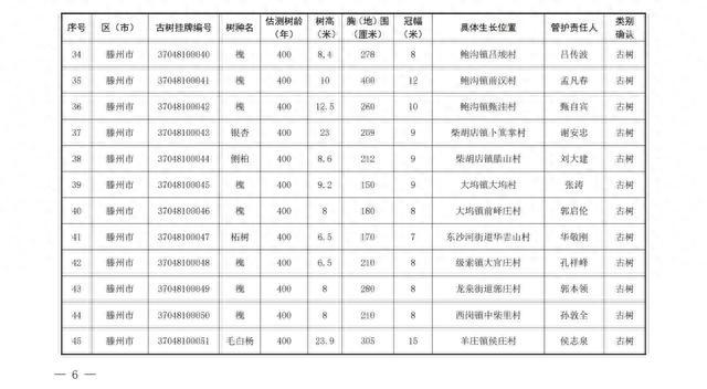 186棵！枣庄市公布首批二级保护古树名录