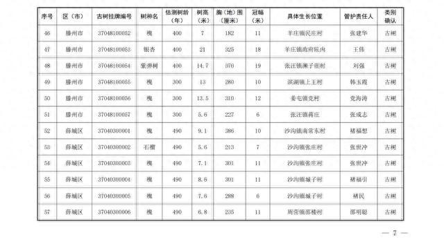 186棵！枣庄市公布首批二级保护古树名录