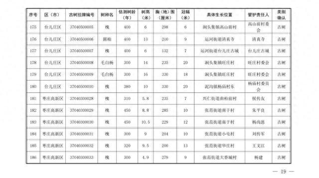 186棵！枣庄市公布首批二级保护古树名录