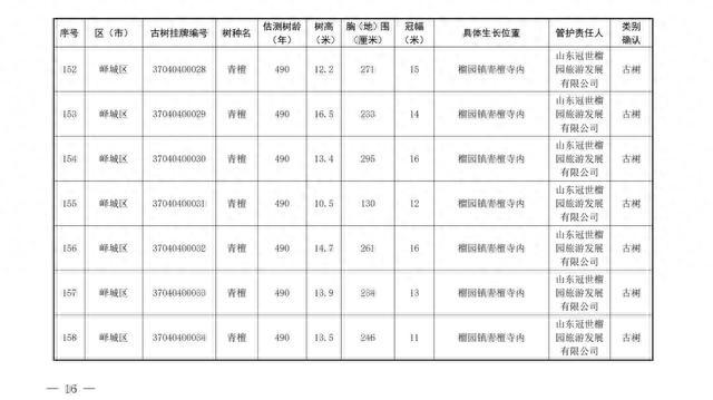 186棵！枣庄市公布首批二级保护古树名录