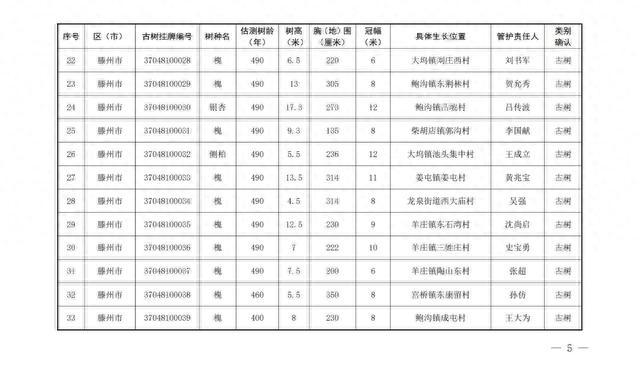 186棵！枣庄市公布首批二级保护古树名录