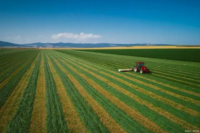 议案建议追踪丨全国排名第8 全省绿色食品达2000余种 河南“绿色兴农”正当时