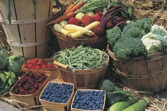 议案建议追踪丨全国排名第8 全省绿色食品达2000余种 河南“绿色兴农”正当时