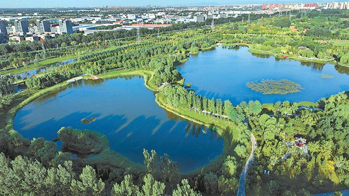 通州公布首批125处区级湿地 大运河森林公园、张家湾公园等上榜