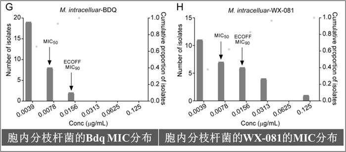 抗耐药结核战役（下）：战争从未熄火，硝烟下的舒达吡啶或带来希望