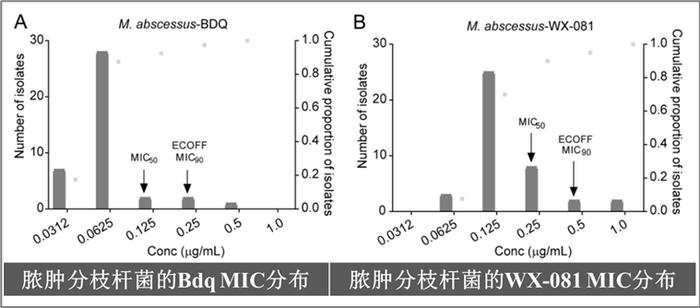 抗耐药结核战役（下）：战争从未熄火，硝烟下的舒达吡啶或带来希望