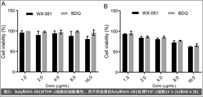 抗耐药结核战役（下）：战争从未熄火，硝烟下的舒达吡啶或带来希望