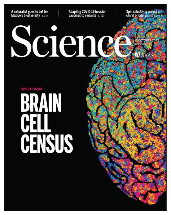 Science | 里程碑！顶刊系列连发21篇论文报告迄今最全人脑细胞图谱发布，揭示是什么让我们成为人类？