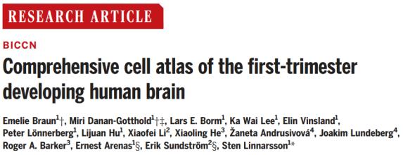 Science | 里程碑！顶刊系列连发21篇论文报告迄今最全人脑细胞图谱发布，揭示是什么让我们成为人类？