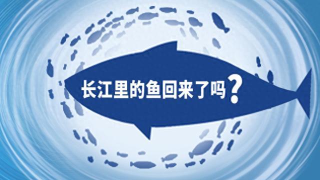 长江鱼回来了吗？长江水质还好吗？这份最新最权威的调查公布了结果