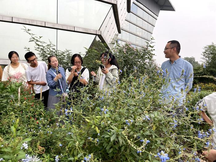 原来身边的这些花草也是“药”？成都举办首个公园中医药主题展