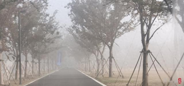 崇明大雾橙色预警！能见度不足50米，车辆开启雾灯缓行