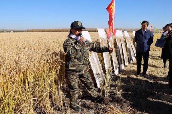 佳木斯国家农高区举办秸秆腐熟还田现场观摩会