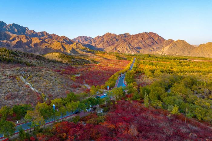 #网络中国节我在宁夏晒月亮｜高清大图：宁夏大武口，红叶红满山，丹霞地貌惹人醉！