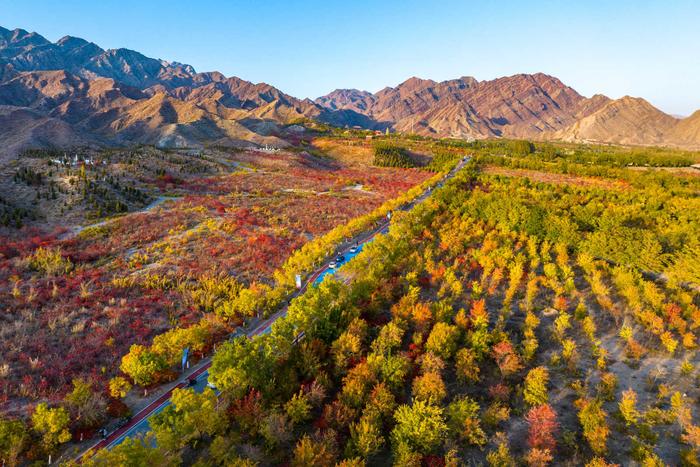 #网络中国节我在宁夏晒月亮｜高清大图：宁夏大武口，红叶红满山，丹霞地貌惹人醉！